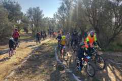 IMG-20211219-WA0060